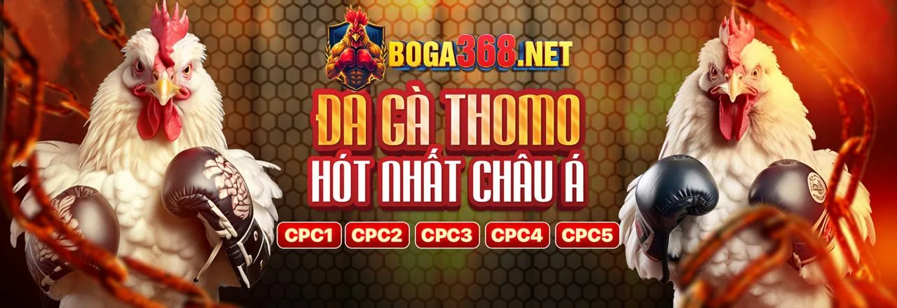 Hình ảnh nền đăng ký đá gà trực tiếp trường 369