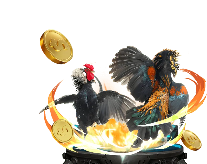 Đội ngũ chuyên nghiệp của đá gà trực tiếp trường 369