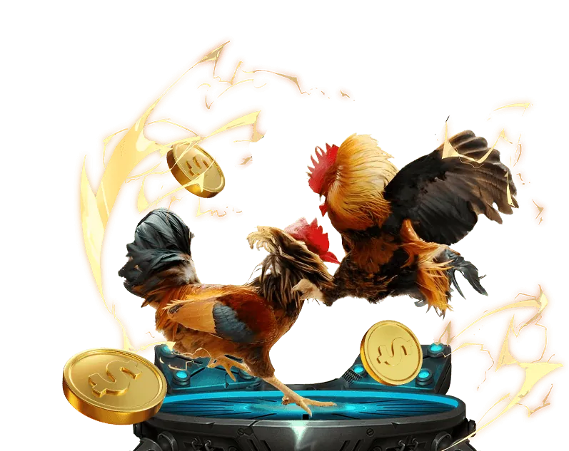 Trải nghiệm xem đá gà trực tiếp mượt mà